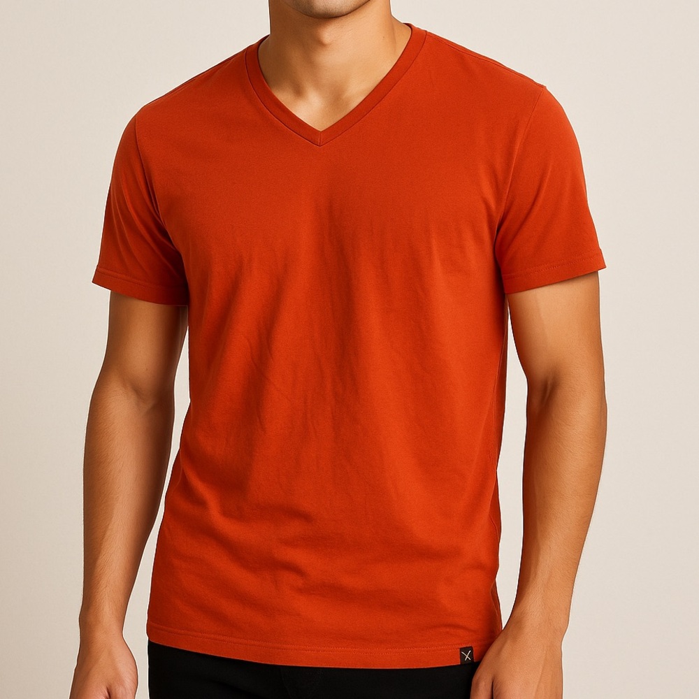 💗5 for $25💗 American Eagle Outfitters Rust V-Neck Tee
